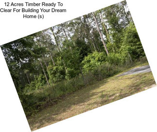 12 Acres Timber Ready To Clear For Building Your Dream Home (s)