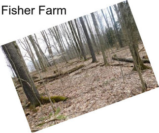 Fisher Farm