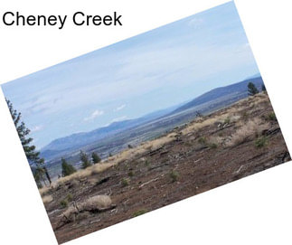 Cheney Creek