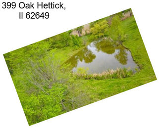 399 Oak Hettick, Il 62649