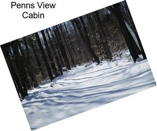 Penns View Cabin