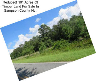 Reduced! 101 Acres Of Timber Land For Sale In Sampson County Nc!