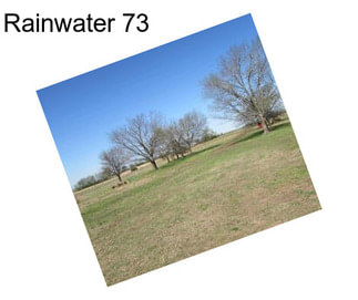 Rainwater 73