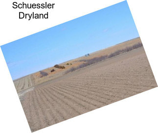 Schuessler Dryland