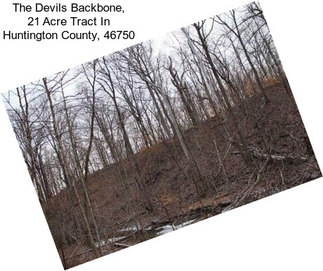 The Devils Backbone, 21 Acre Tract In Huntington County, 46750