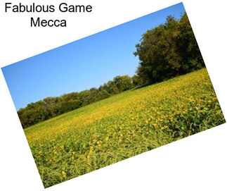 Fabulous Game Mecca