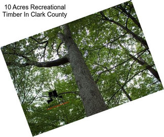 10 Acres Recreational Timber In Clark County