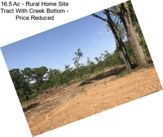 16.5 Ac - Rural Home Site Tract With Creek Bottom - Price Reduced