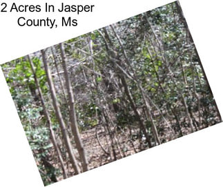2 Acres In Jasper County, Ms