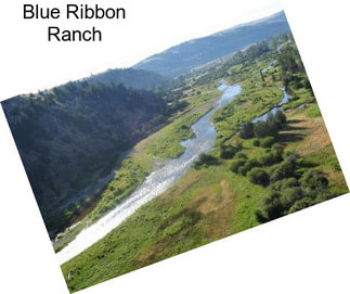 Blue Ribbon Ranch