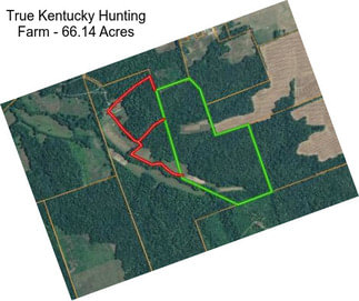 True Kentucky Hunting Farm - 66.14 Acres