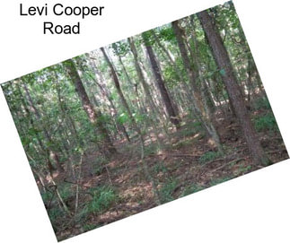 Levi Cooper Road