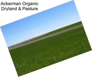 Ackerman Organic Dryland & Pasture