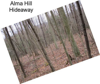 Alma Hill Hideaway