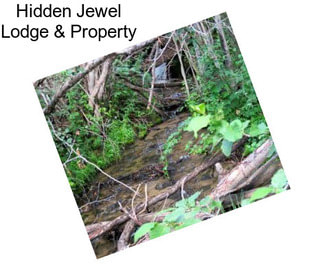 Hidden Jewel Lodge & Property