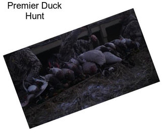 Premier Duck Hunt