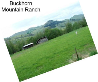 Buckhorn Mountain Ranch