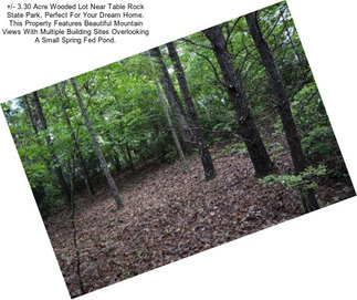 +/- 3.30 Acre Wooded Lot Near Table Rock State Park, Perfect For Your Dream Home. This Property Features Beautiful Mountain Views With Multiple Building Sites Overlooking A Small Spring Fed Pond.