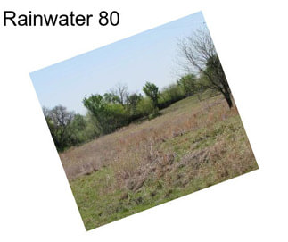 Rainwater 80