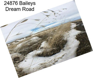 24876 Baileys Dream Road