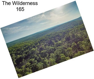 The Wilderness 165