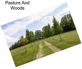 Pasture And Woods