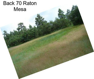 Back 70 Raton Mesa