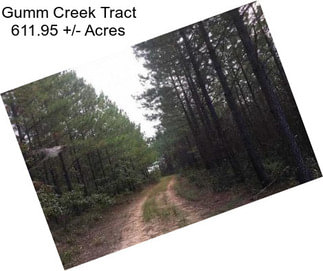 Gumm Creek Tract 611.95 +/- Acres