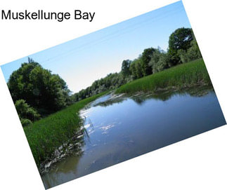 Muskellunge Bay