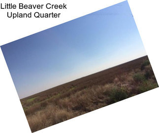 Little Beaver Creek Upland Quarter