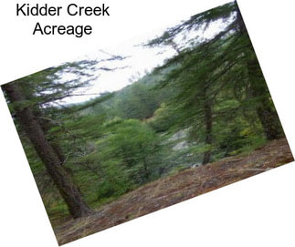 Kidder Creek Acreage