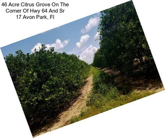 46 Acre Citrus Grove On The Corner Of Hwy 64 And Sr 17 Avon Park, Fl