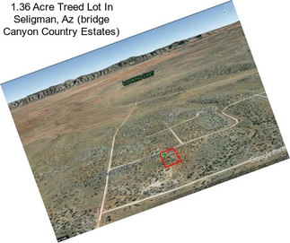 1.36 Acre Treed Lot In Seligman, Az (bridge Canyon Country Estates)