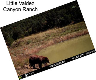 Little Valdez Canyon Ranch