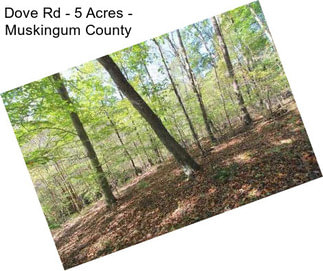 Dove Rd - 5 Acres - Muskingum County