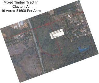 Mixed Timber Tract In Clayton, Al 19 Acres-$1600 Per Acre