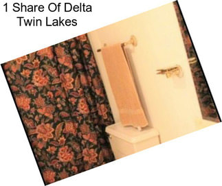 1 Share Of Delta Twin Lakes