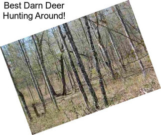 Best Darn Deer Hunting Around!