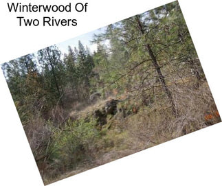 Winterwood Of Two Rivers