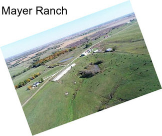 Mayer Ranch