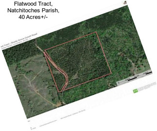 Flatwood Tract, Natchitoches Parish, 40 Acres+/-