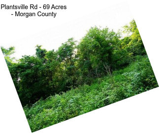 Plantsville Rd - 69 Acres - Morgan County