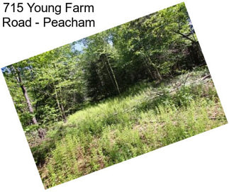 715 Young Farm Road - Peacham