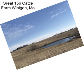 Great 156 Cattle Farm Winigan, Mo