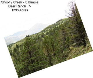 Shoofly Creek - Elk/mule Deer Ranch +/- 1398 Acres