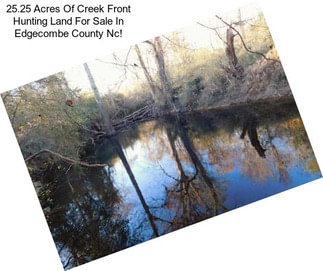 25.25 Acres Of Creek Front Hunting Land For Sale In Edgecombe County Nc!