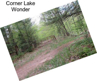 Corner Lake Wonder