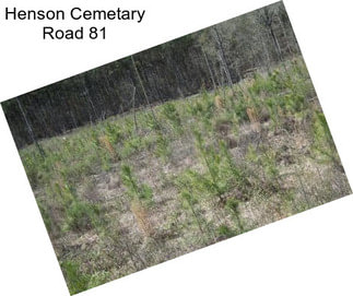 Henson Cemetary Road 81