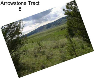 Arrowstone Tract 8