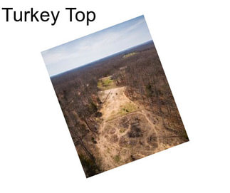 Turkey Top